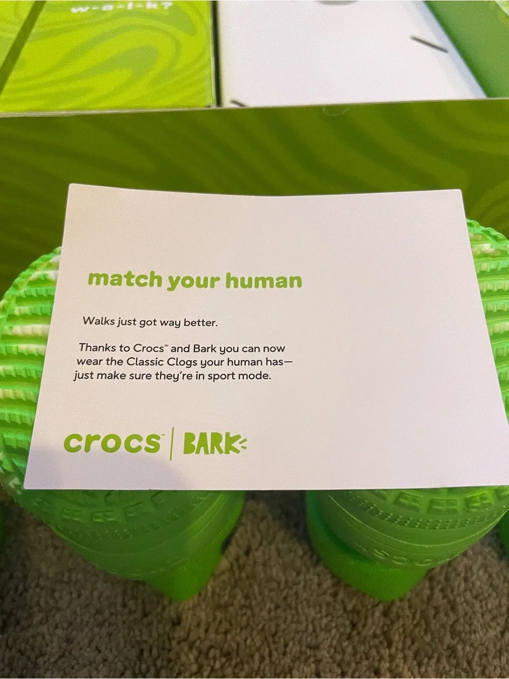 Bark Crocs for dog (Glow in the Dark)